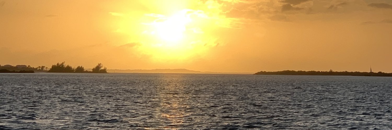 CoopaLoop1185's profile banner image