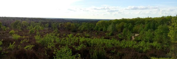 dimmyvanruiten Profile Banner