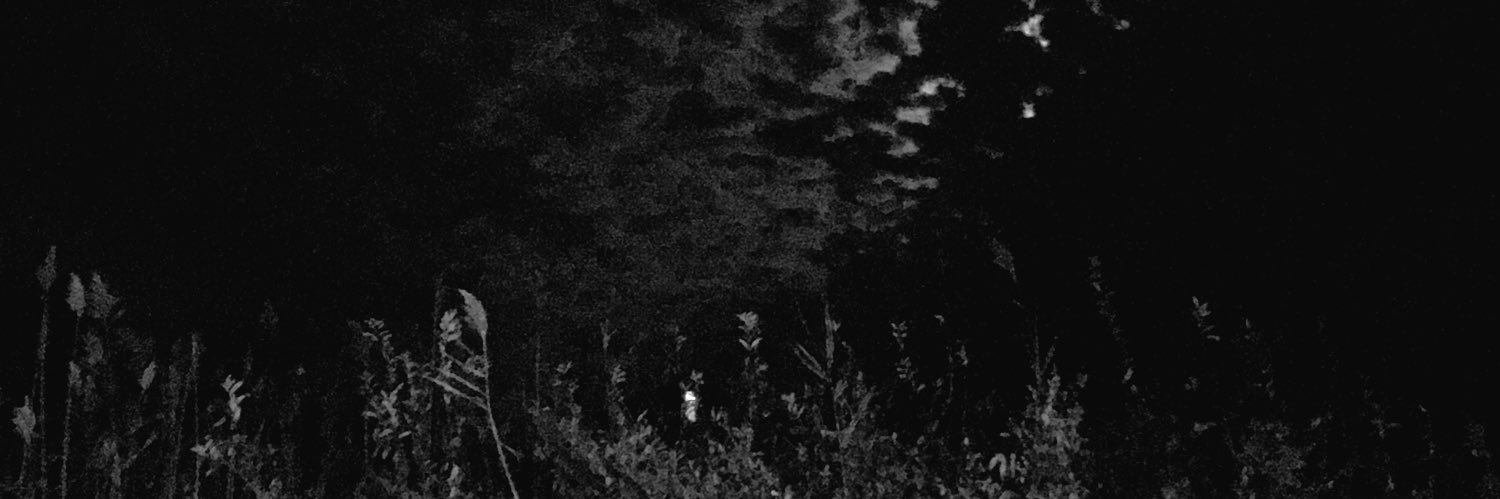 wicca phase springs eternal banner