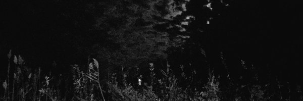 wiccaphase Profile Banner