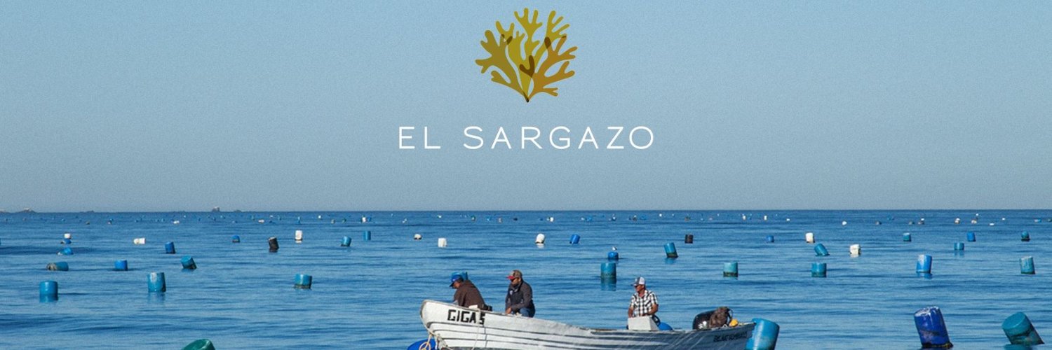 El Sargazo banner