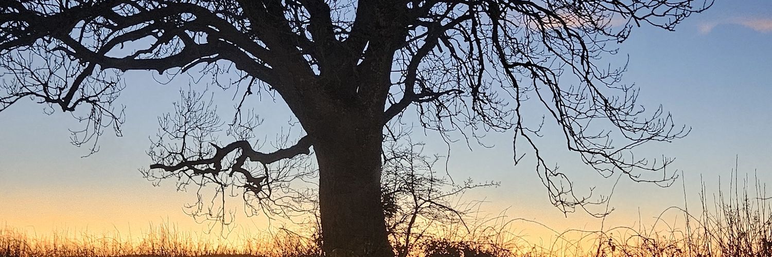 RemainJD's profile banner image