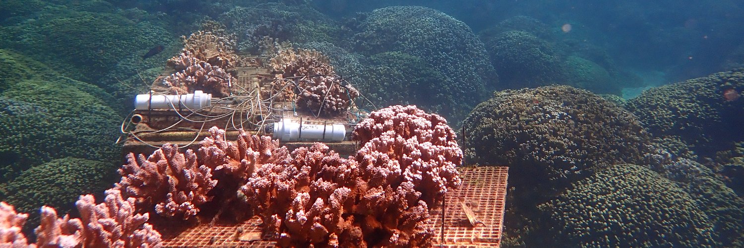 Shayle B Matsuda, Ph.D. banner