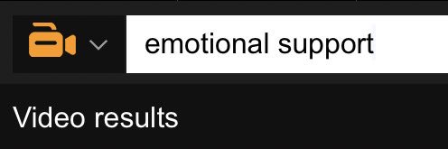 Dr. Floss Boss banner