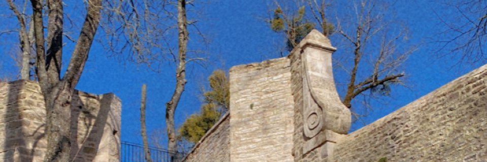 Chargrasse21's profile banner image