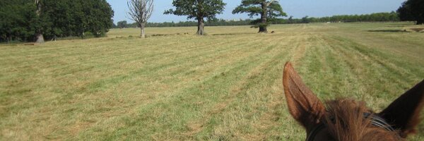 News_Views Profile Banner