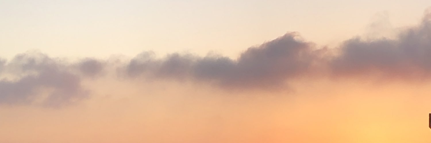 shadowZ333's profile banner image