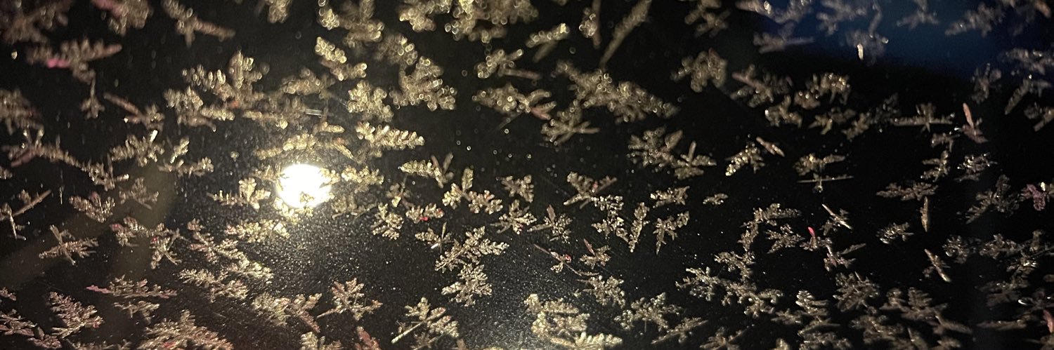 torojr1027's profile banner image