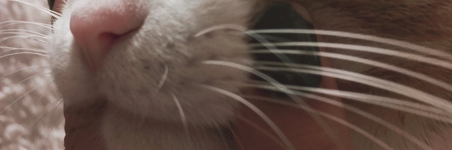 06v_v10's profile banner image