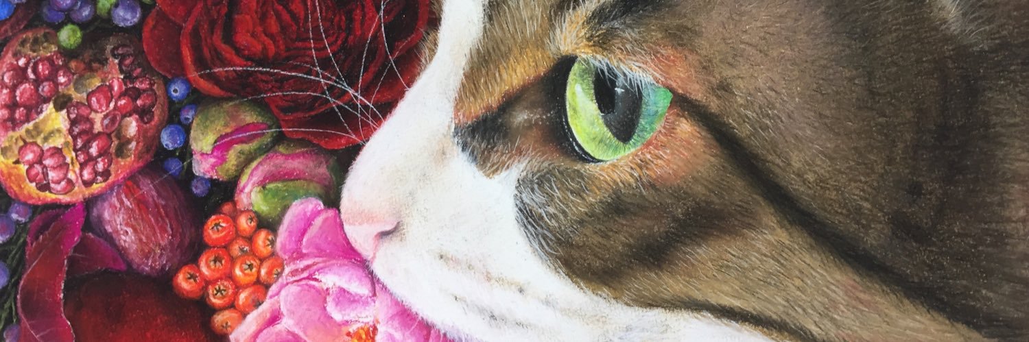 cat13590's profile banner image