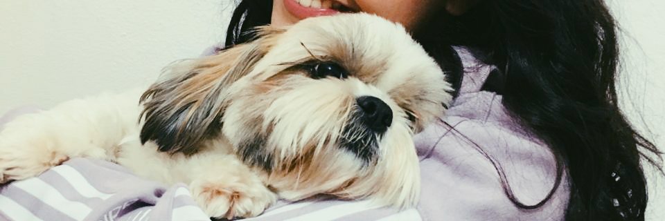 JustinianoEmily's profile banner image