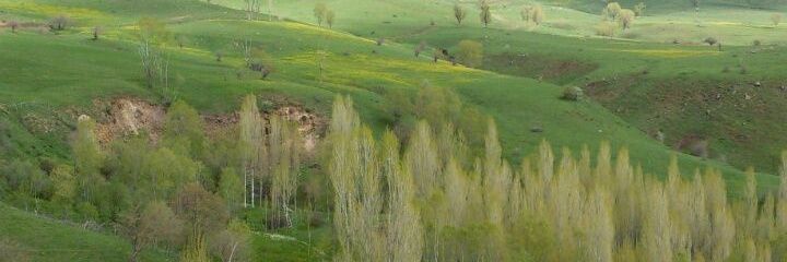 arslan_sah's profile banner image