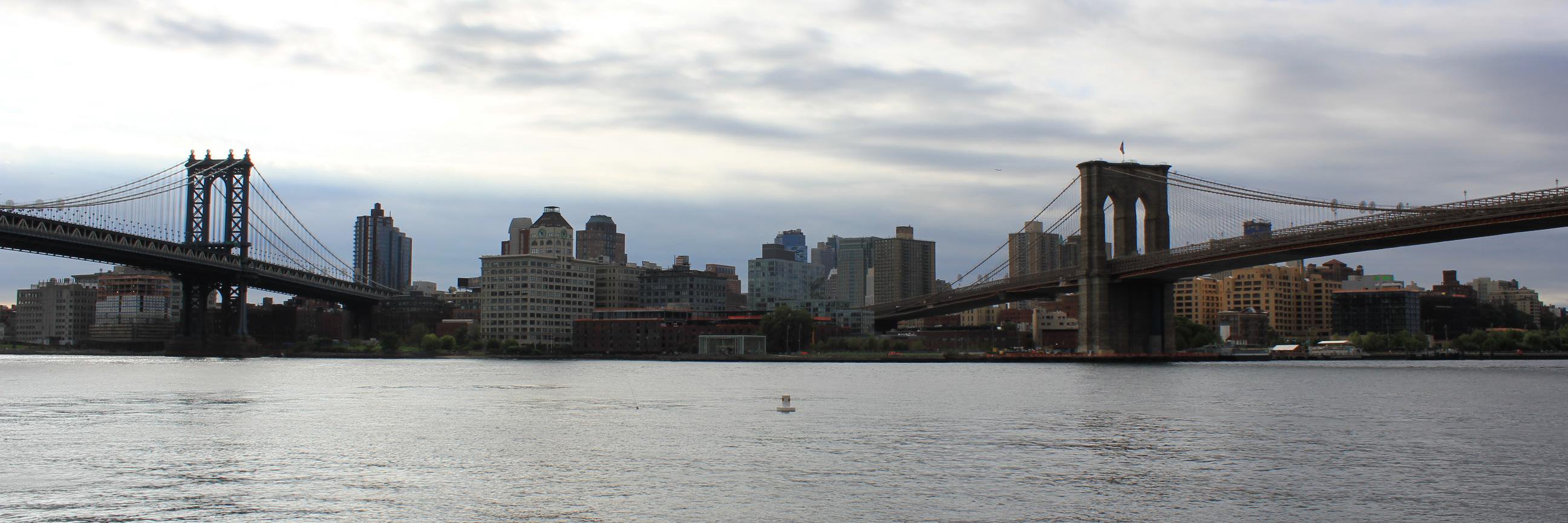 terencesmuts's profile banner image
