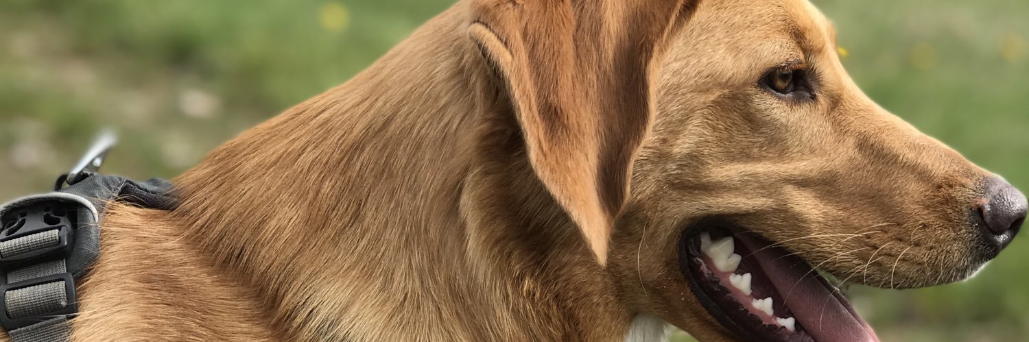 tgruger's profile banner image