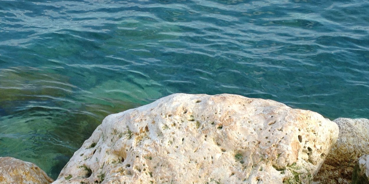 Jheffrey the Pterodactyl Hunter banner