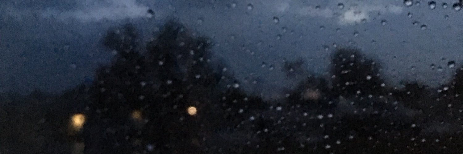 littleraaee's profile banner image