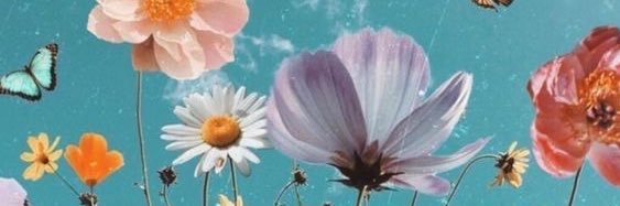 luciapl92's profile banner image