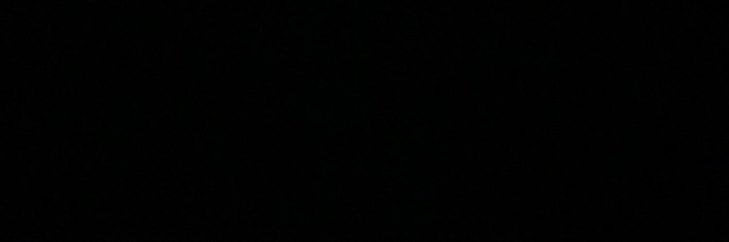 saraliindt's profile banner image