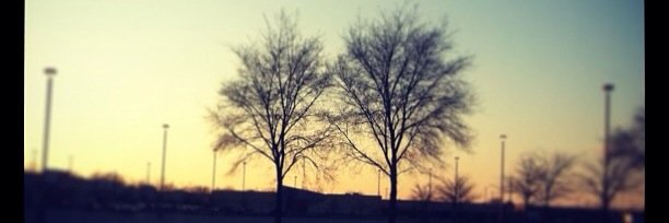 FollowMe_MsRo's profile banner image