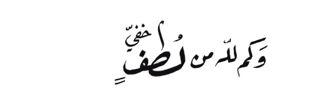 Noha399's profile banner image