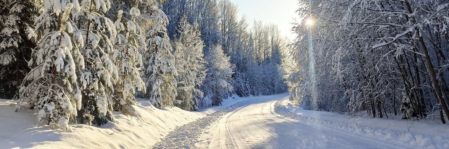 Валентина Домарева banner