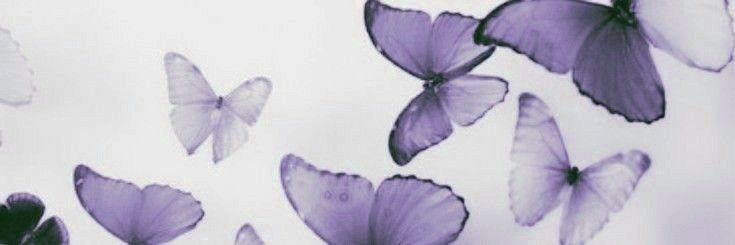 IllirisGiisela's profile banner image