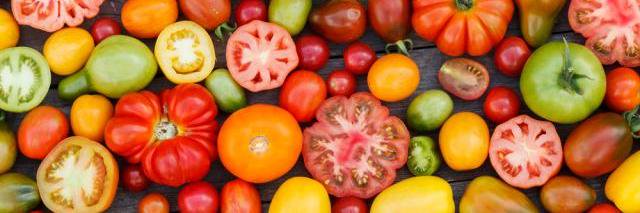 Bekynton Eton banner