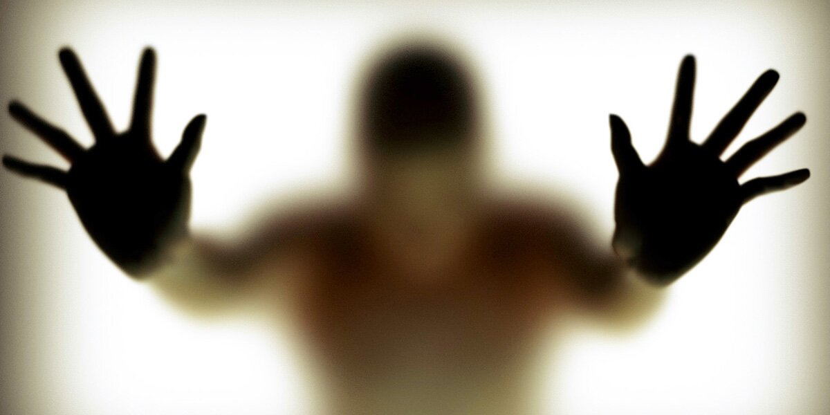 nesa_zver's profile banner image