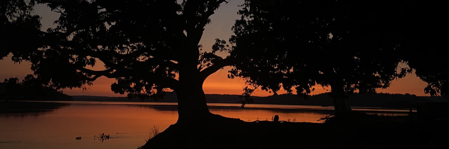 mdzsch's profile banner image