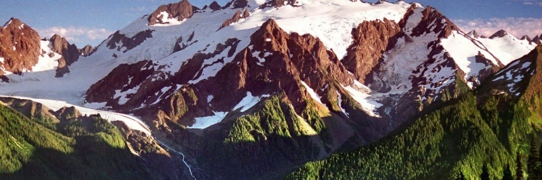 pedrus444's profile banner image