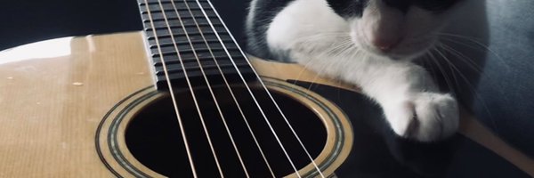 Heyitssaach Profile Banner