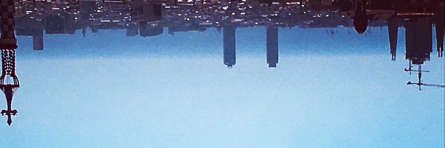 Regi na banner