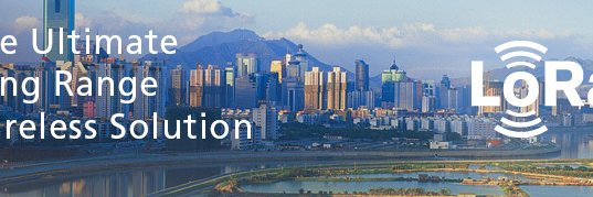 Rémi Demerlé banner