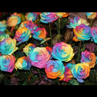 itaashop's profile banner image