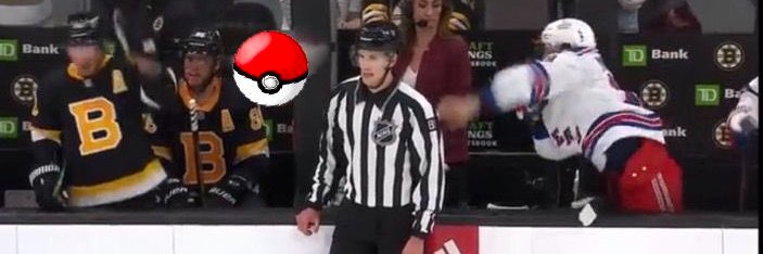 RoastedPOKemon's profile banner image