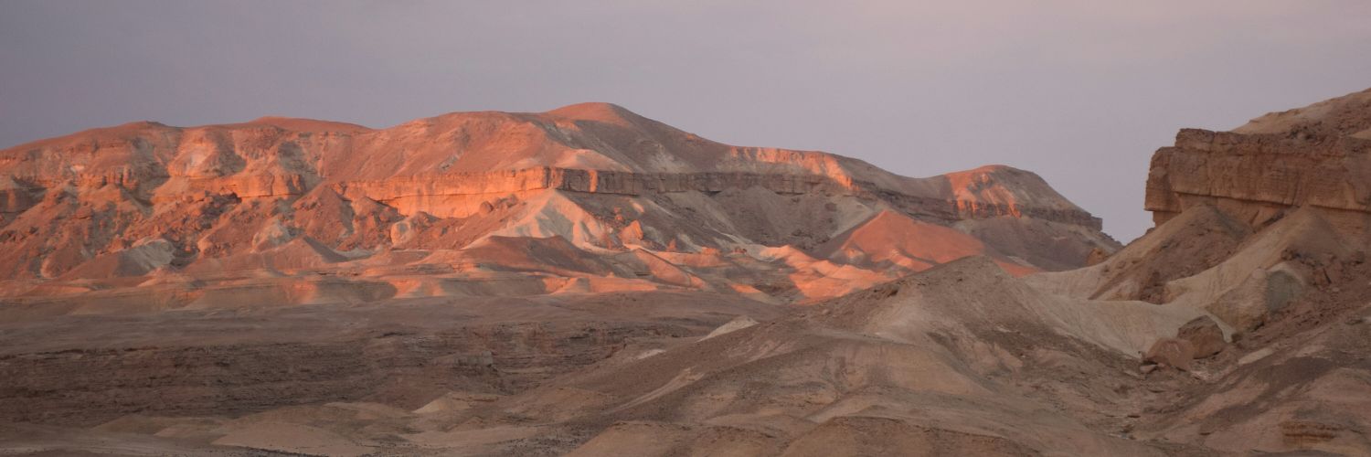 azylbertal's profile banner image