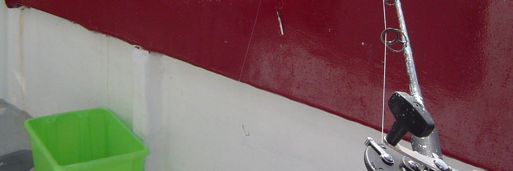 Deirdre Shanahan banner