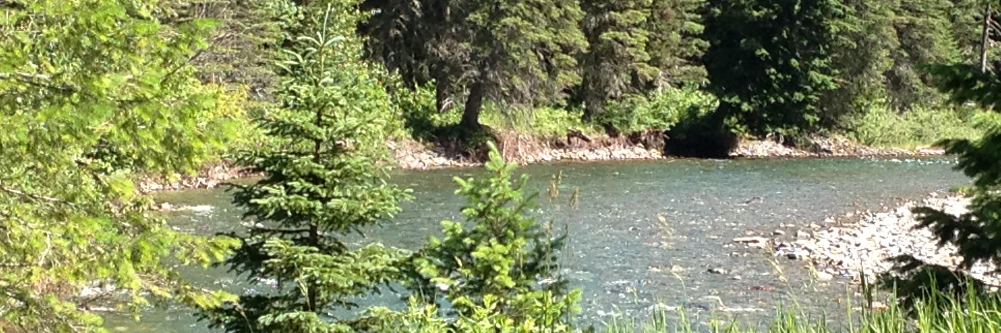 Truth Telling Gramma banner