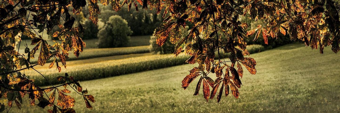 thomas_burkl's profile banner image