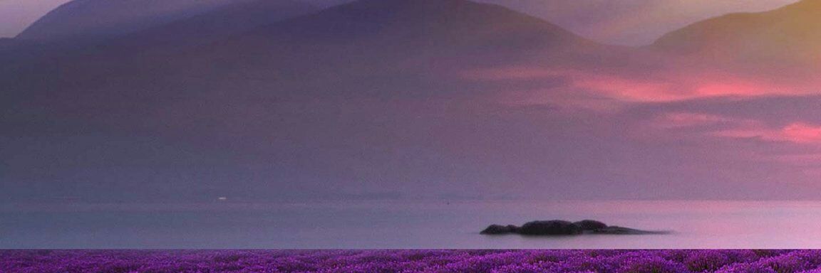 awaadali457's profile banner image