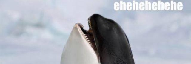 A_Wal27's profile banner image