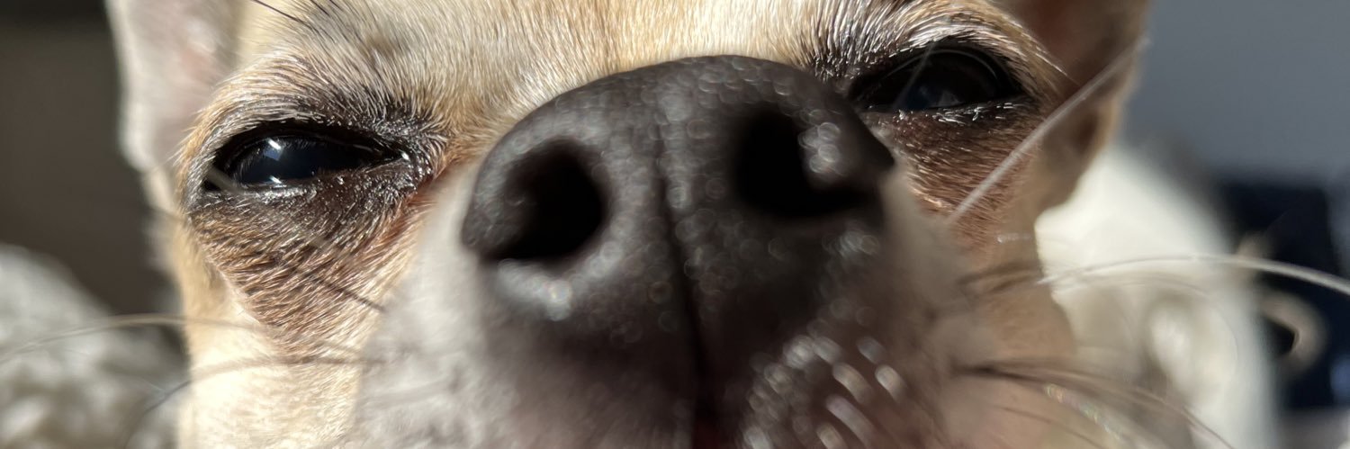 nat banner