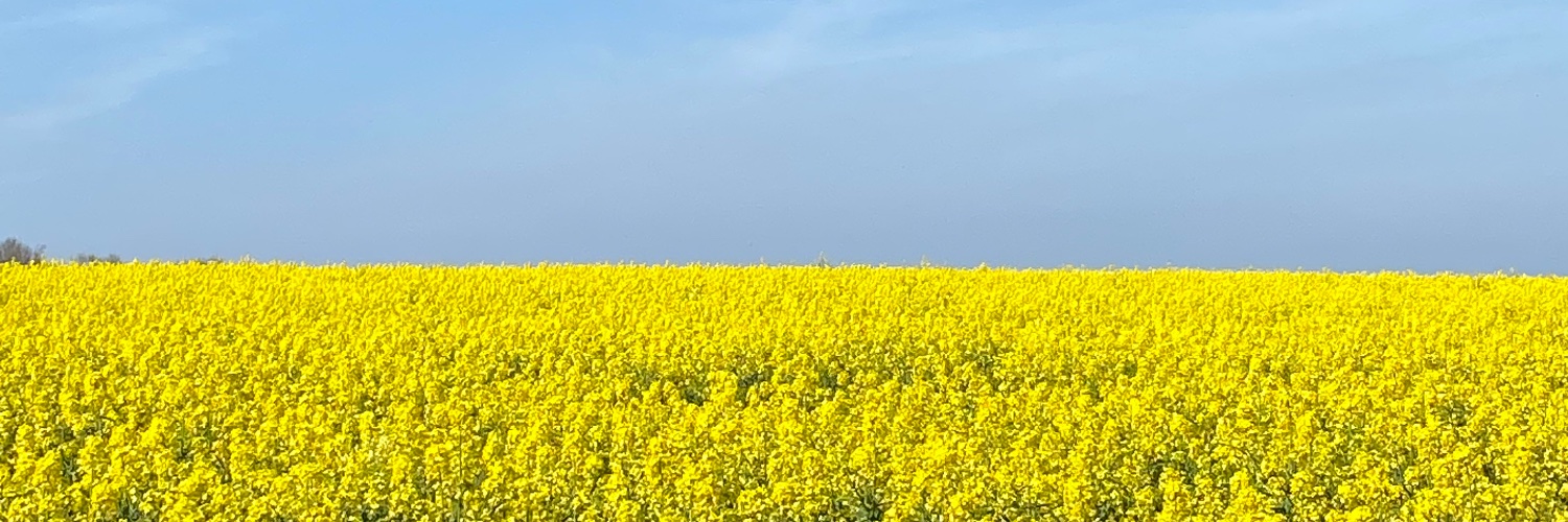 emma_jeffreys3's profile banner image