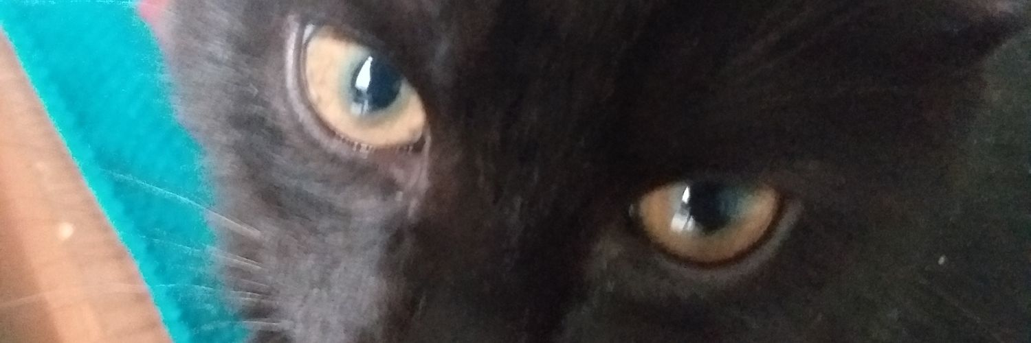 SenBesir's profile banner image