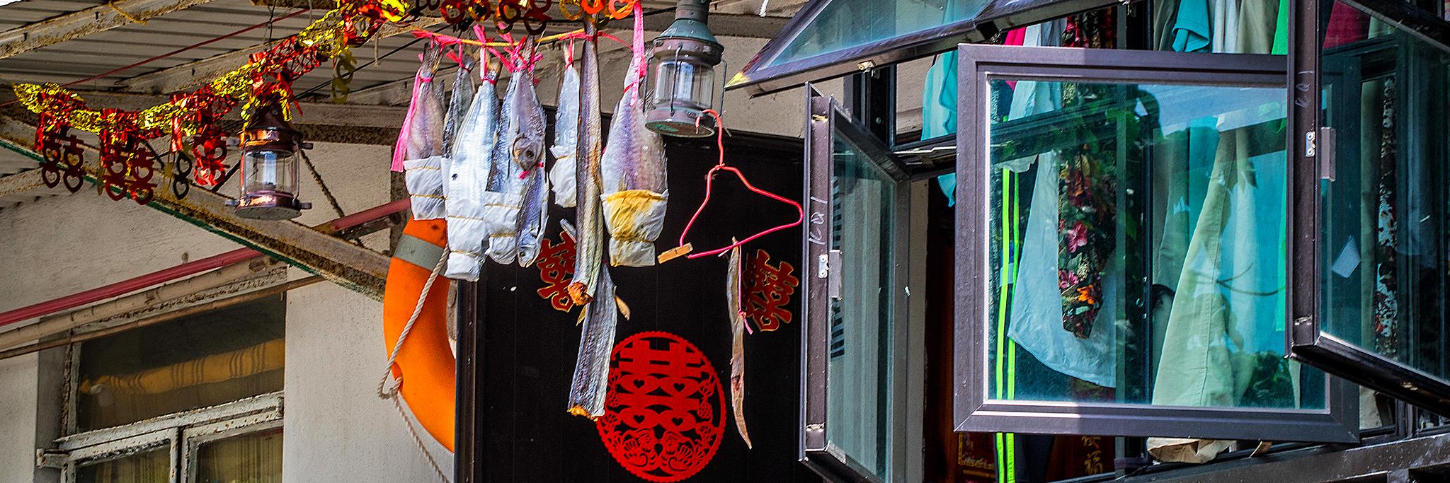 Cathy Cole banner