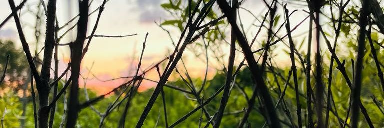 lebomajafi's profile banner image
