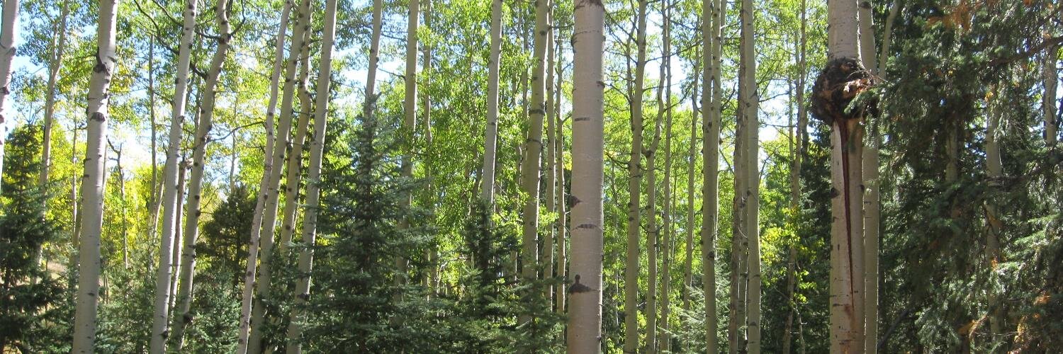 aboutcolorado's profile banner image