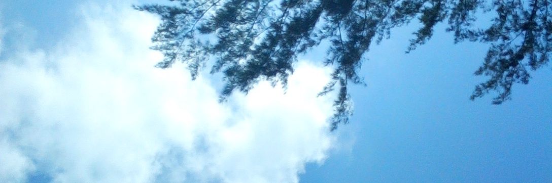 . . . banner