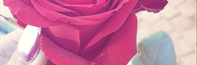 Swanilem's profile banner image