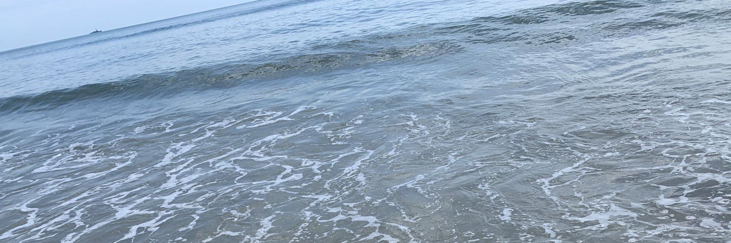 Ban Gege banner